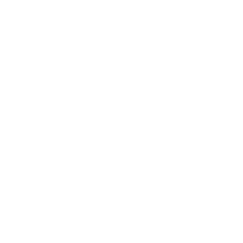 Magnifying Minds